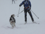 JO Hundetraining