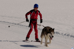JO Training mit Schlittenhunden 16.03.2019