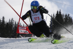 Parallelslalom Spluegen 09.03.2019