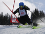 Parallelslalom Spluegen 09.03.2019