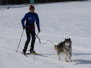 SC Tambo Splügen JO Training mit Schlittenhunden 03.03.2018