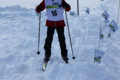 skicross_15_14