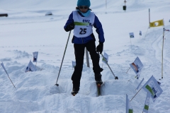 skicross_15_15