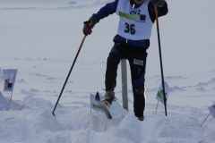 skicross_15_19