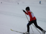 Skicross Splügen 29. Januar 2014
