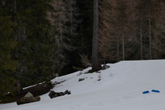 L1070157E